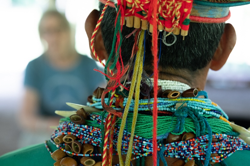 Beaded collar and feather crown, seen from behind