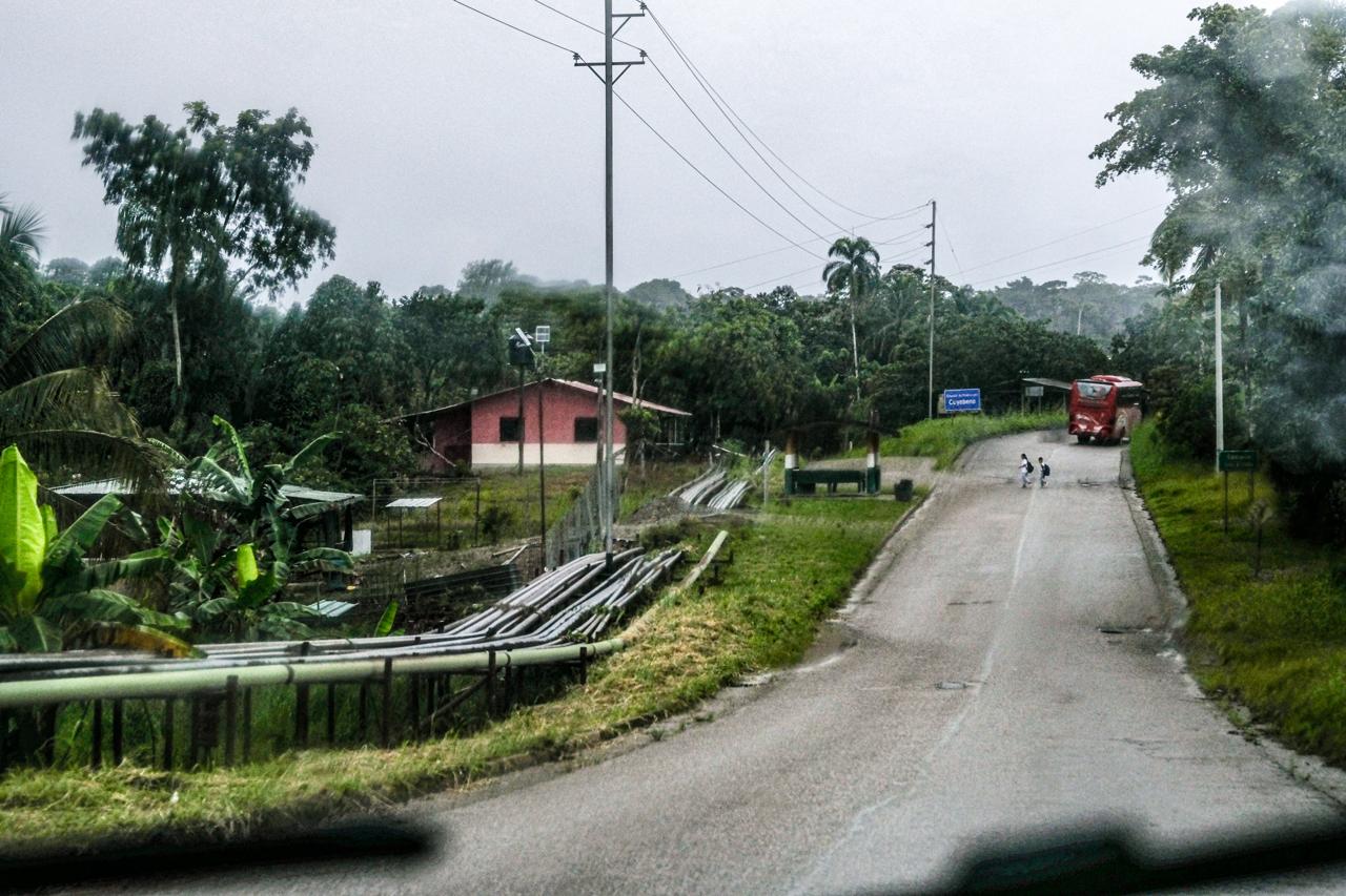 A road and pipelines running through the forest