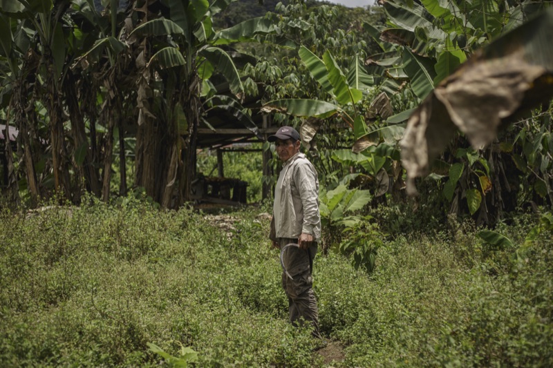 Vicente in the jungle