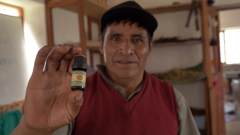 Vicente in the medicinal plant laboratory